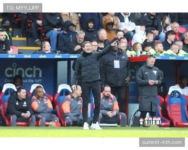 水晶宫主帅战术风格独特，球队战斗力持续提升，引发关注